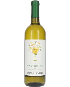 Domus Vini Pinot Bianco del Veneto Casine