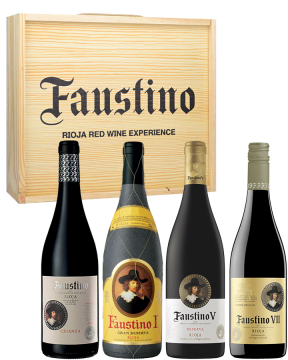 Faustino Rioja Red Wine Experience Box