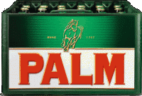 Palm Bierkrat 24 x 25cl